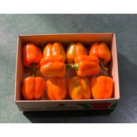주황파프리카(2kg/특/1박스)