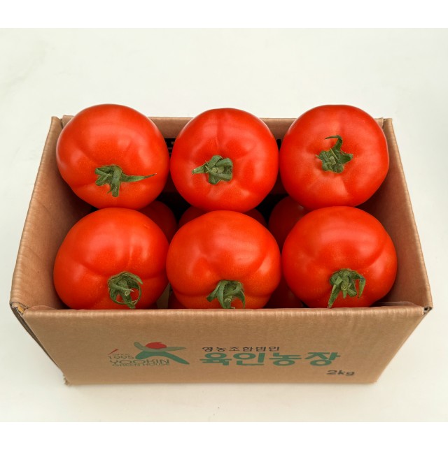 겨레토마토(특/2kg/1박스)