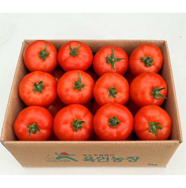 겨레토마토(특/5kg/1박스)