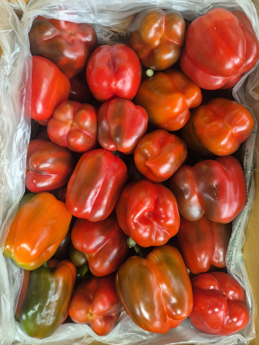 빨강 비품파프리카(5kg/1박스)