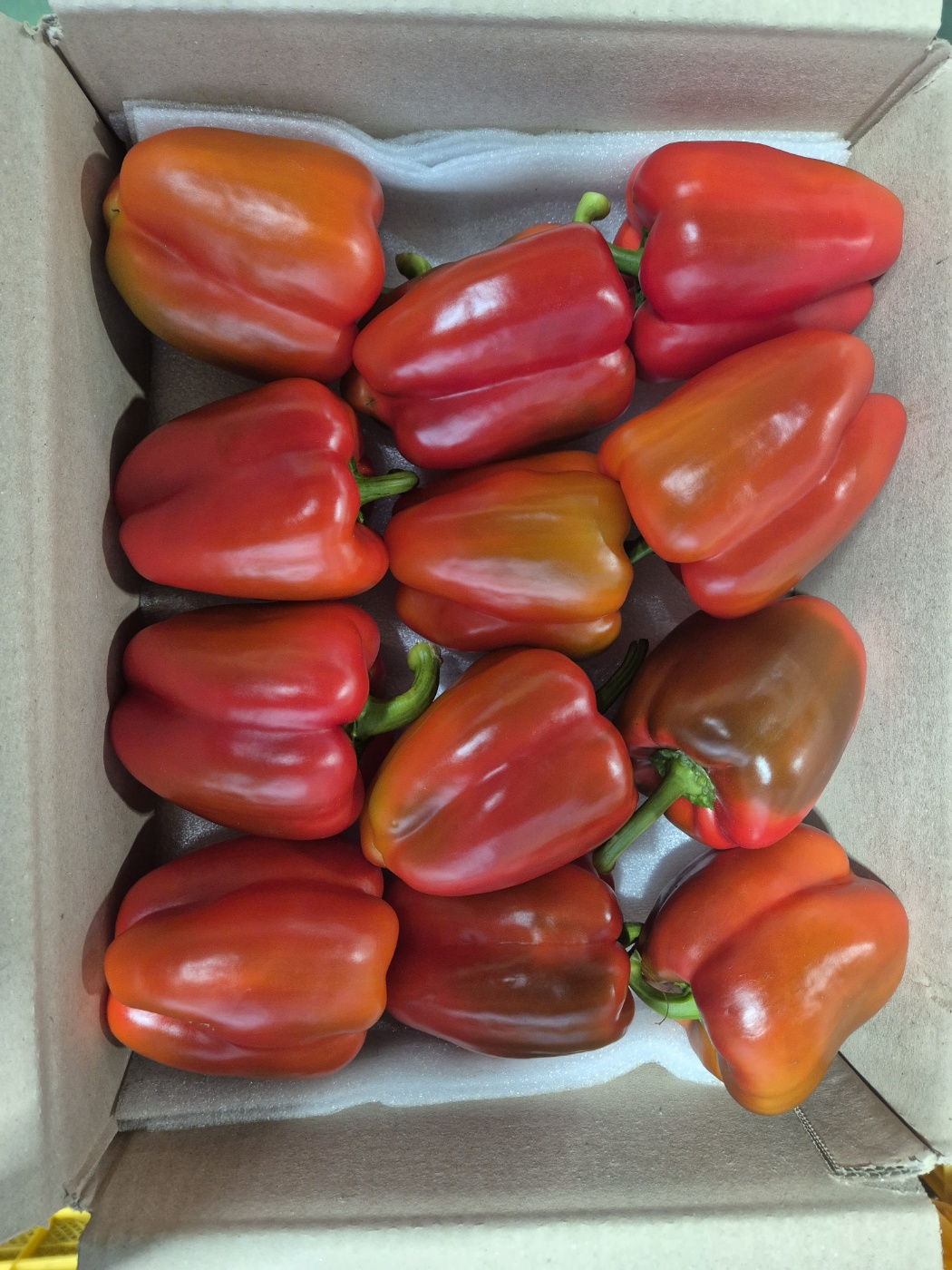 빨강파프리카(특/2kg/1박스)