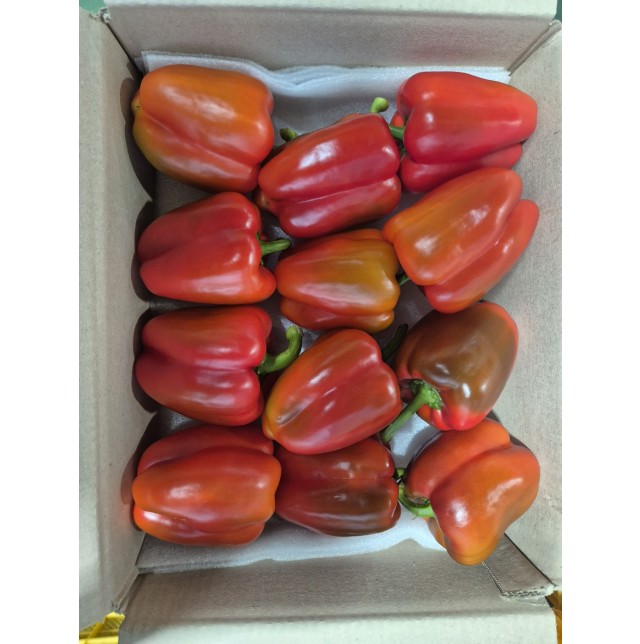 빨강파프리카(특/2kg/1박스)