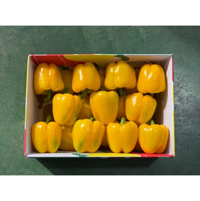 노랑파프리카(특/5kg/1박스)