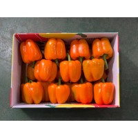 주황파프리카(특/5kg/1박스)